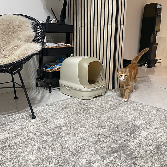 maimaiさんの部屋