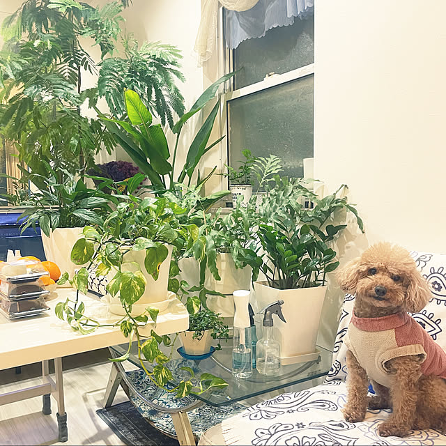 kanakoさんの実例写真