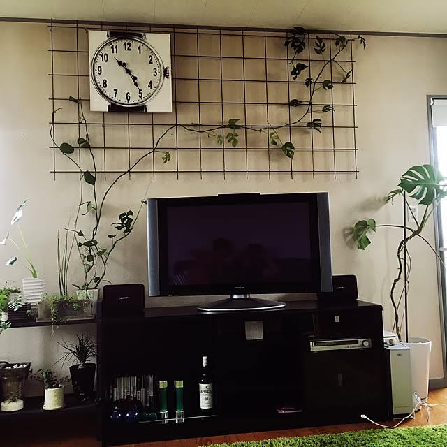 Takaさんの実例写真