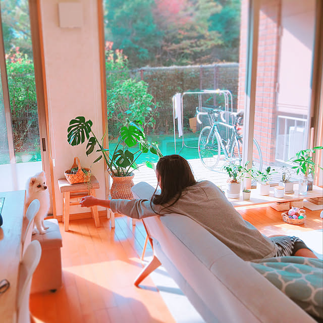 tokoさんの実例写真