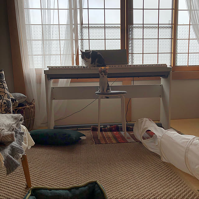 a.f.さんの実例写真