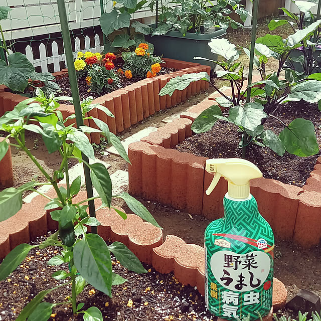 Taku38さんの実例写真