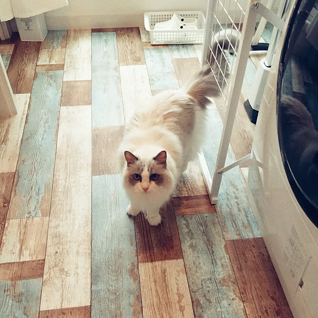 yuchiさんの実例写真