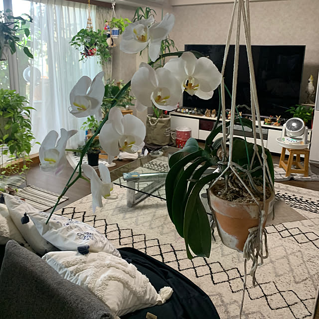 Aqettyさんの部屋