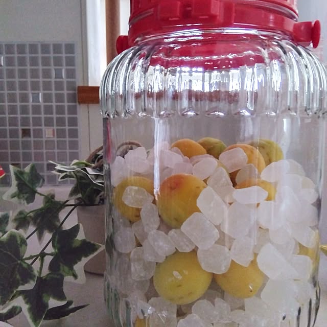 yukkoさんの部屋