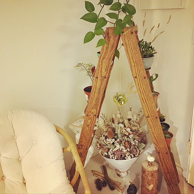 観葉植物/DIY/北欧/多肉植物/リビングのインテリア実例 - 2019-04-16 08:19:20