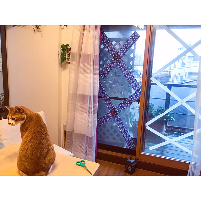 lavie0125さんの実例写真