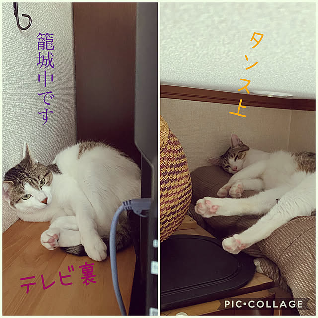 Lufuさんの実例写真