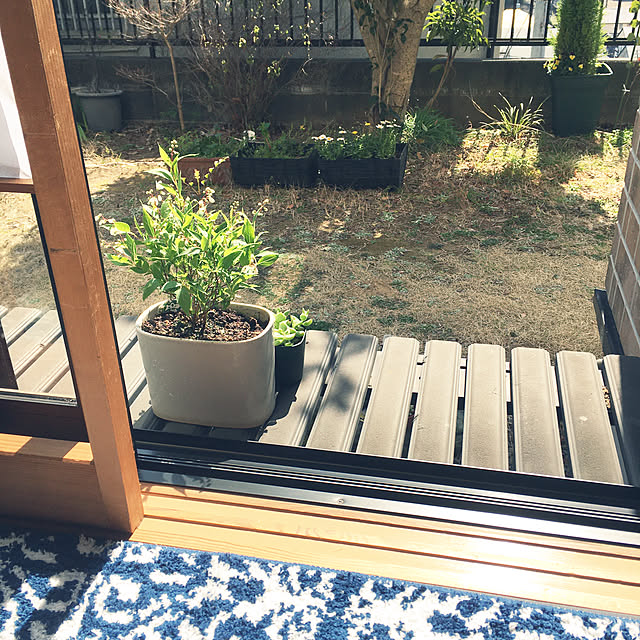 magさんの実例写真