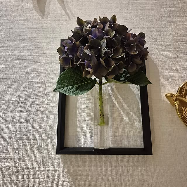 hiyokobiyoriさんの部屋