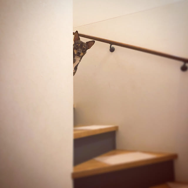 Marikoさんの実例写真