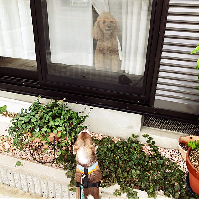 ash1024さんの実例写真