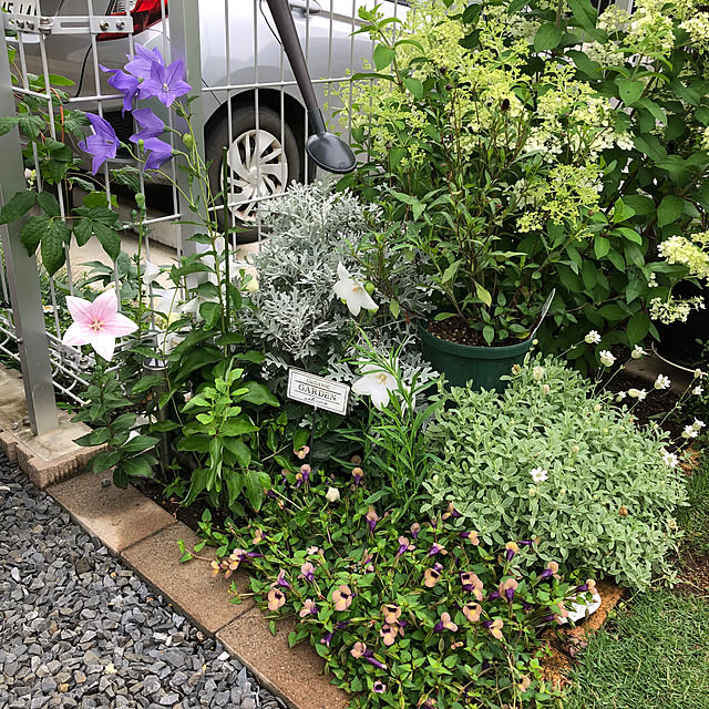 pinkflower_Potagerさんの部屋