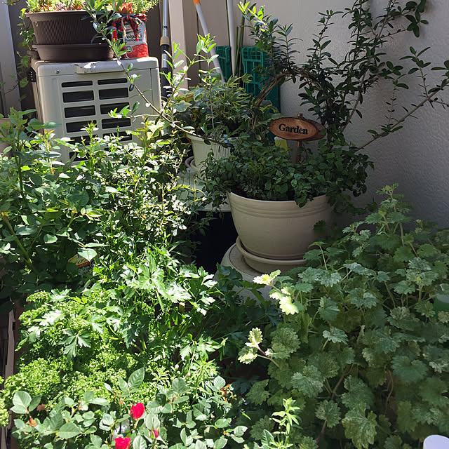 emiさんの実例写真