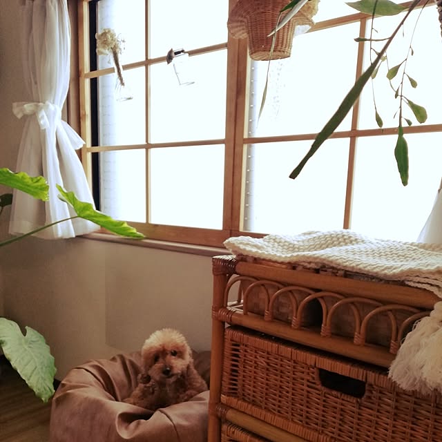 santamamaさんの実例写真