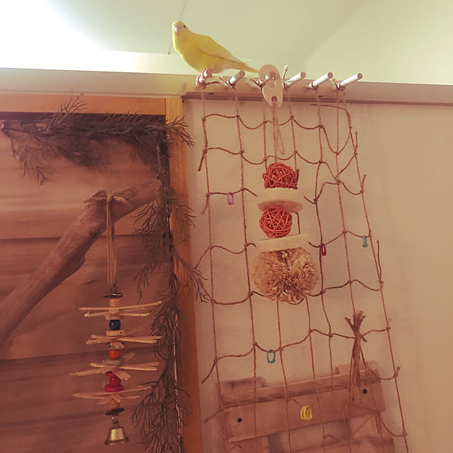 mymさんの実例写真