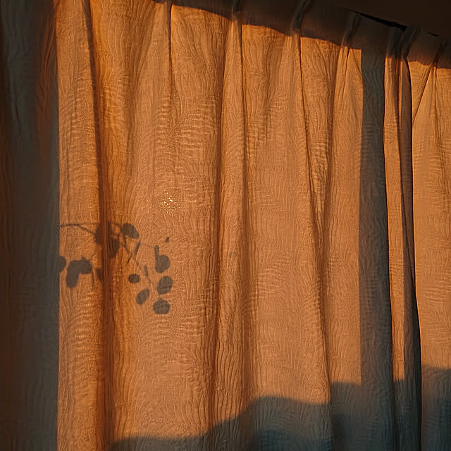 kakkaさんの実例写真