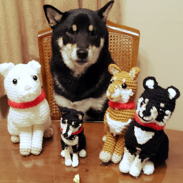 tsutawarimasuさんの実例写真