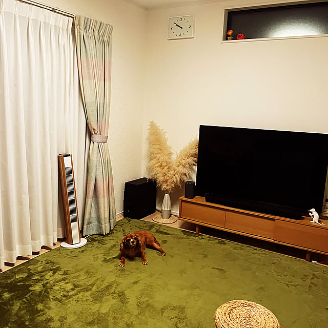 hahanoshinさんの実例写真