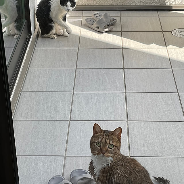 maruさんの部屋