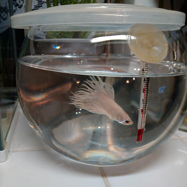 Tさんの実例写真