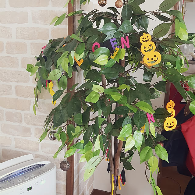 yukoさんの実例写真