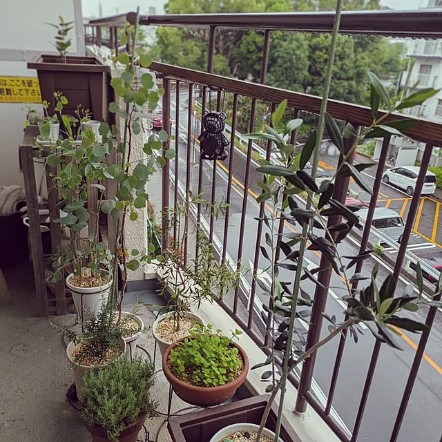 mi-saさんの実例写真