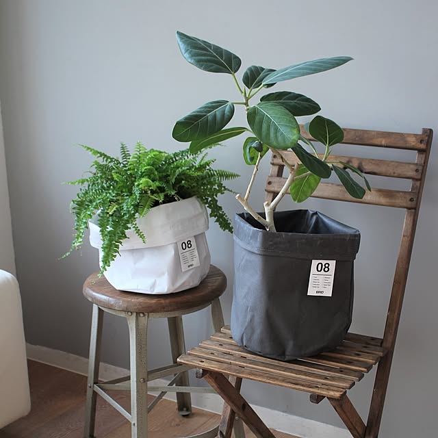 鉢カバー/観葉植物のある暮らし/観葉植物/グリーンのある暮らし/軽量カバー...などのインテリア実例 - 2023-10-26 15:08:13