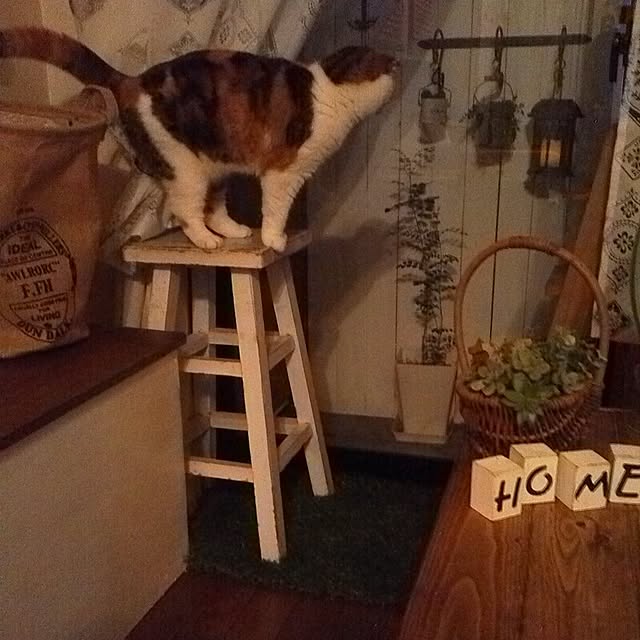 mikiさんの実例写真