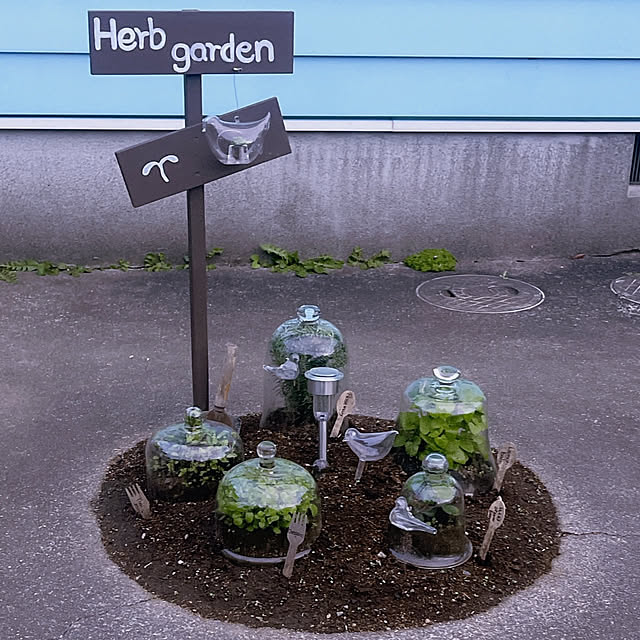 Ohigeさんの部屋