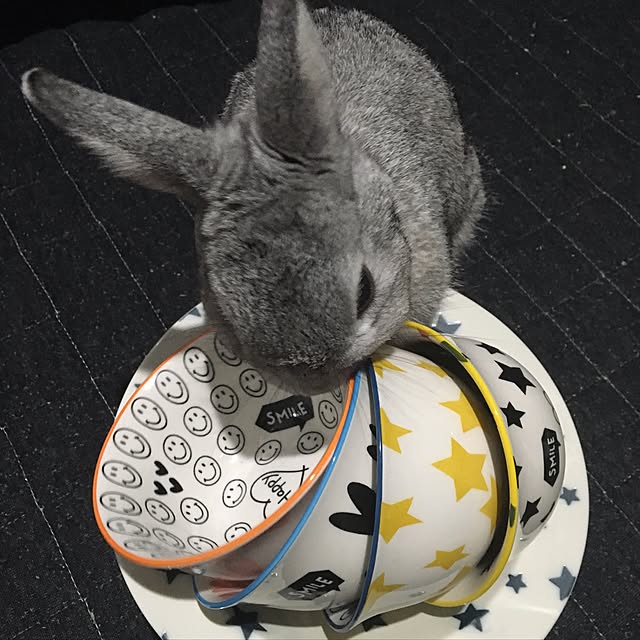 55さんの実例写真