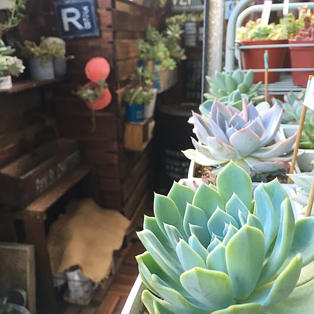 rupunさんの実例写真