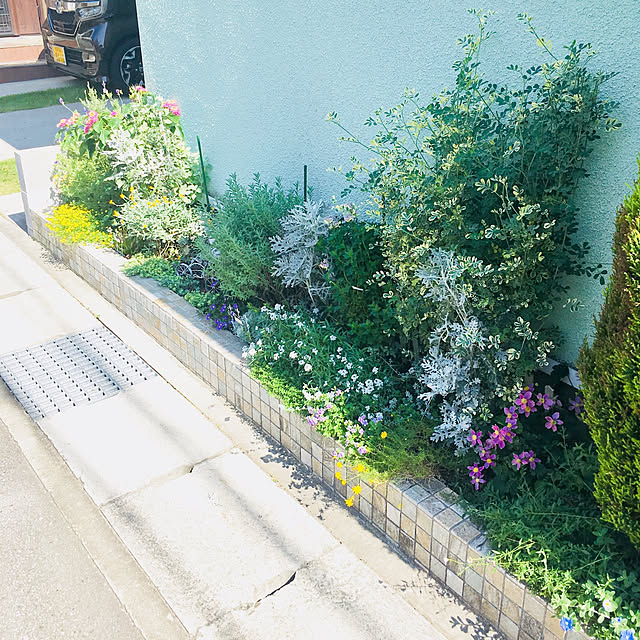 kzmykk512さんの実例写真