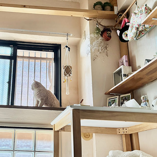 naokoさんの部屋
