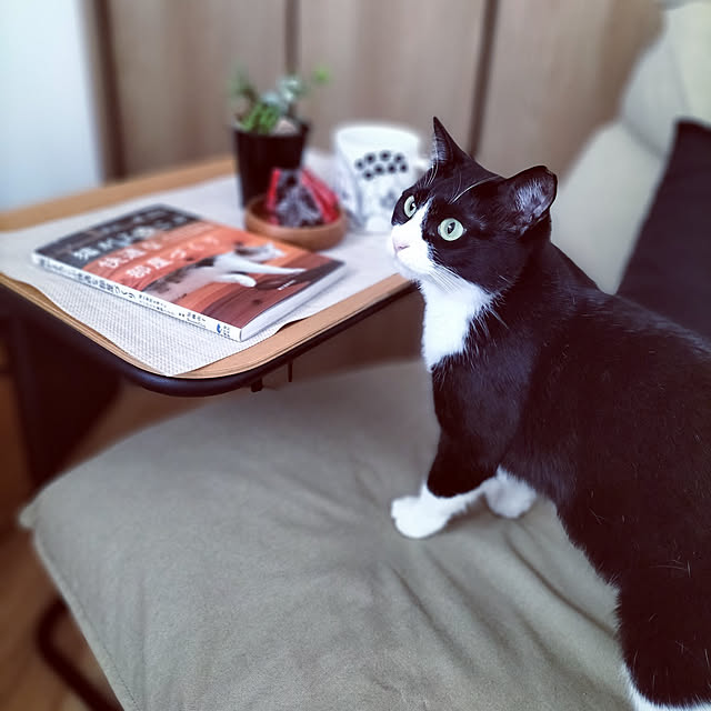 hihaさんの実例写真