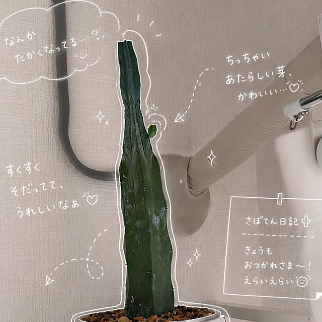 puunyaさんの実例写真