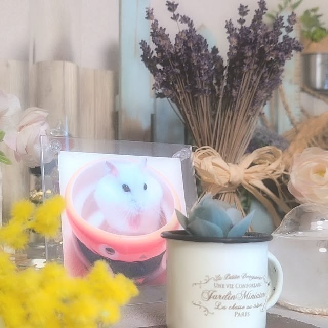 harumoeさんの実例写真