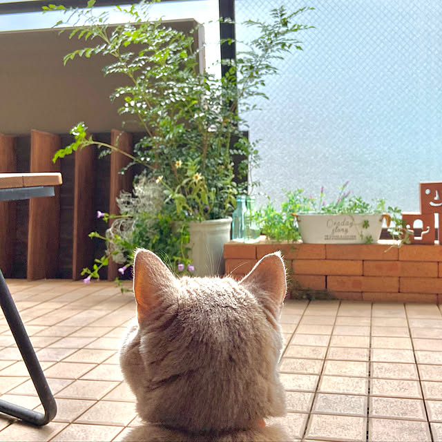 tomoさんの実例写真