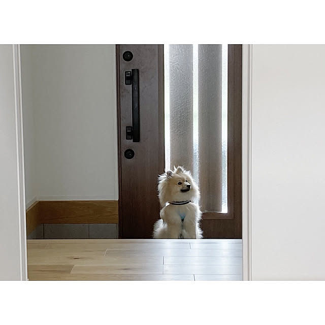 omomさんの実例写真