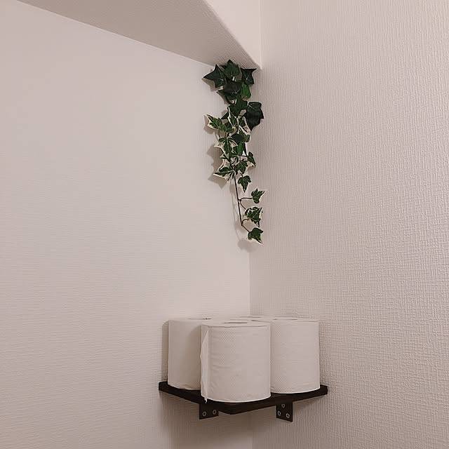 アンティーク/DIY/バス/トイレのインテリア実例 - 2019-04-14 19:01:00