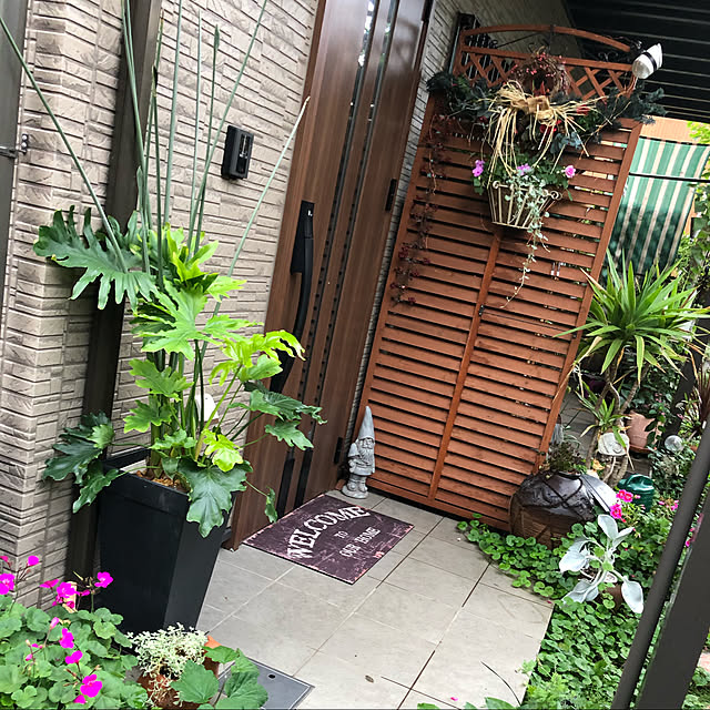 実例写真