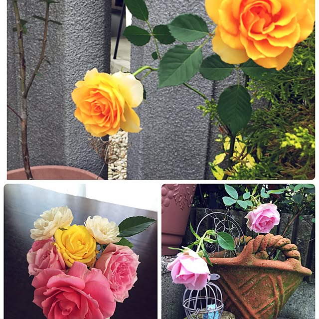 ronさんの実例写真