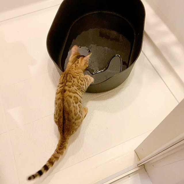 Kurehaさんの実例写真