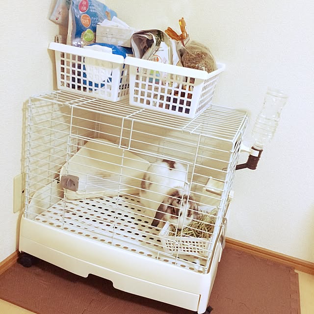 sho-chanさんの実例写真