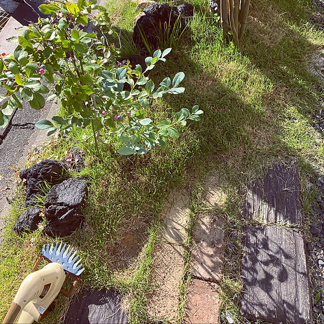 m.coccoさんの実例写真