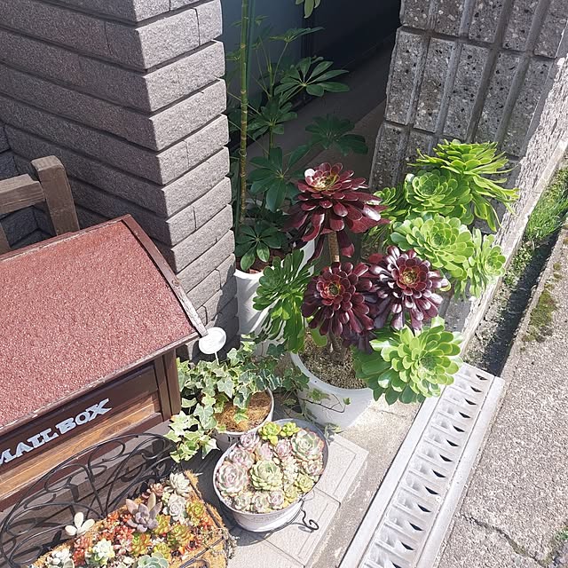 y.k.m.d.yさんの実例写真