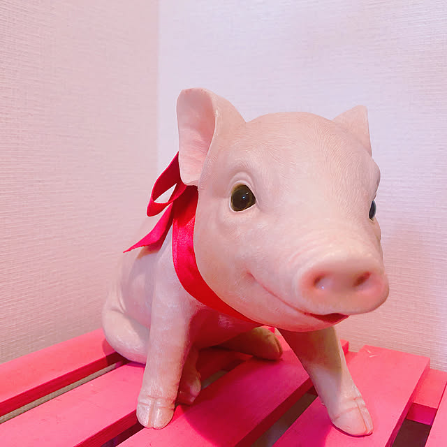 amecoさんの実例写真