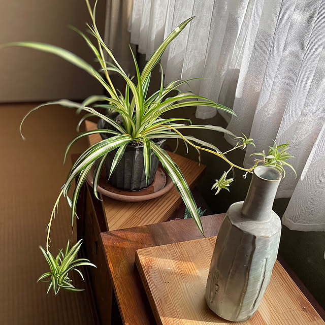 buchiさんの部屋