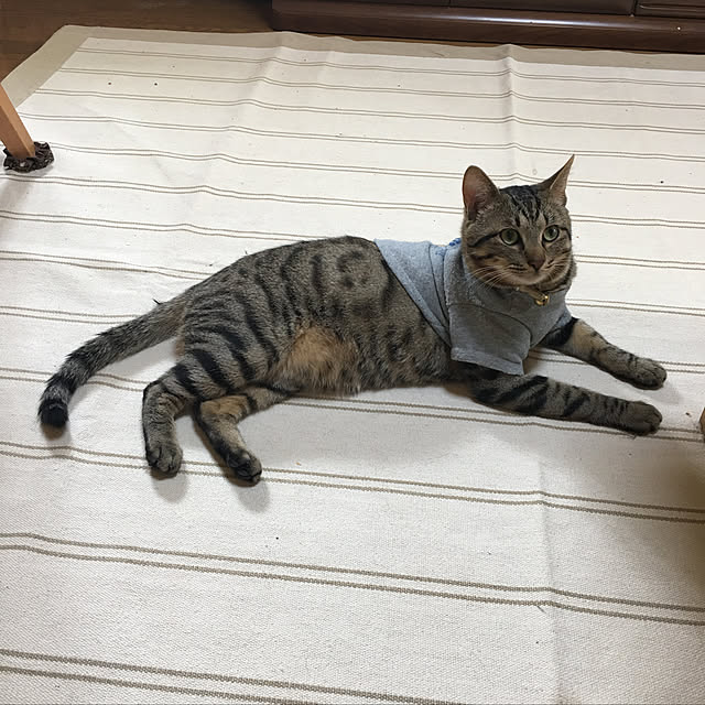 kmakkyiさんの実例写真
