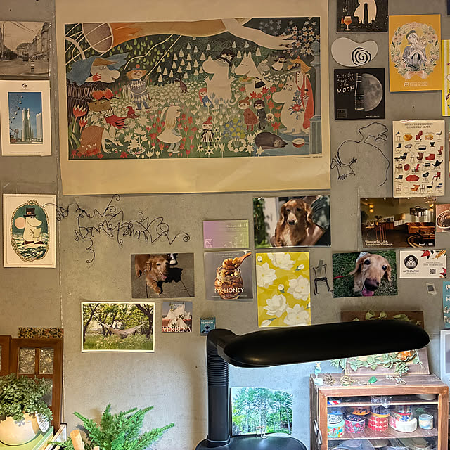 lanさんの実例写真